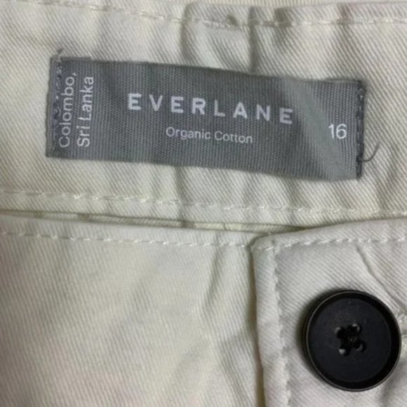 NWT Everlane The Tourist Pant Womens Size 16 Canvas - Picture 7 of 10